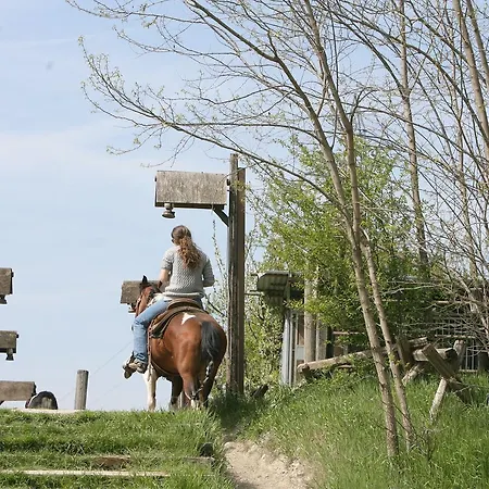 Cowboys Guest Ranch فندق