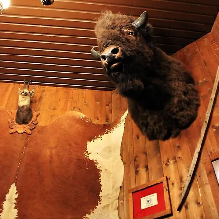 Cowboys Guest Ranch